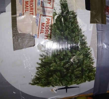 Photo of free Christmas tree (Longwood) #1