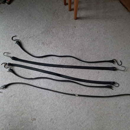 Photo of free Bungee straps (Holly Lodge Estate N6) #1