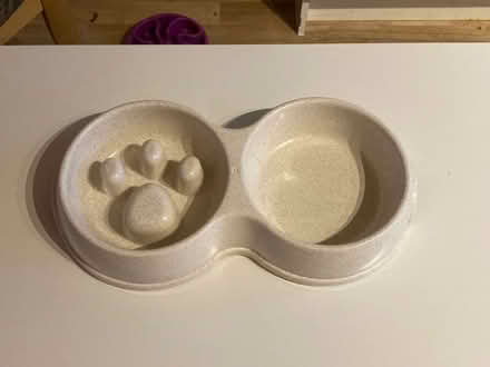 Photo of free Small slow feeder dog bowl (Near Christchurch BA15) #1