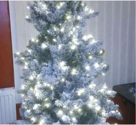 Photo of free Christmas tree (CH45) #1