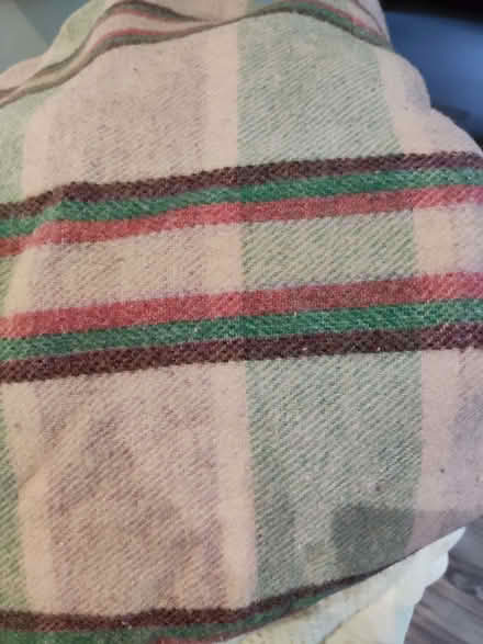 Photo of free Woolly blankets (Churchend RG30) #2