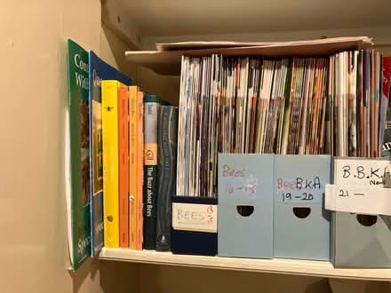 Photo of free Books about bees and back copies BBKA new (Toxteth L8) #1