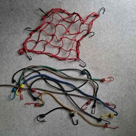 Photo of free Bungee straps (Holly Lodge Estate N6) #2