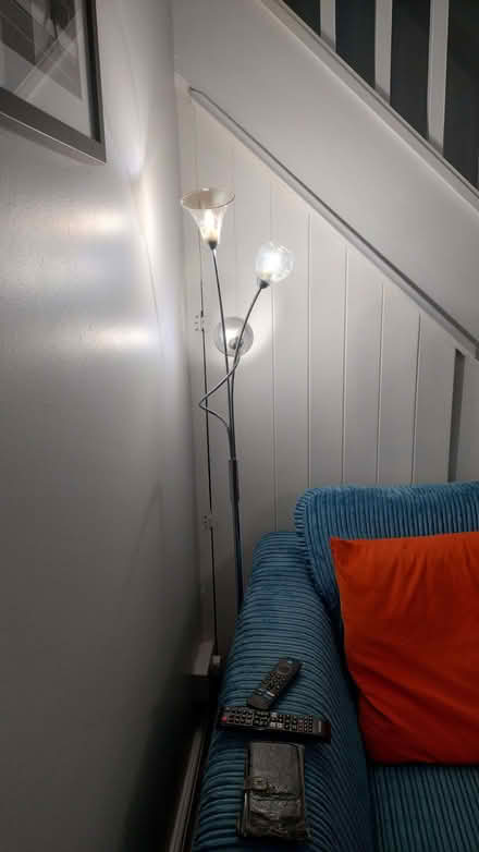 Photo of free Floor lamp (Garforth LS25) #4