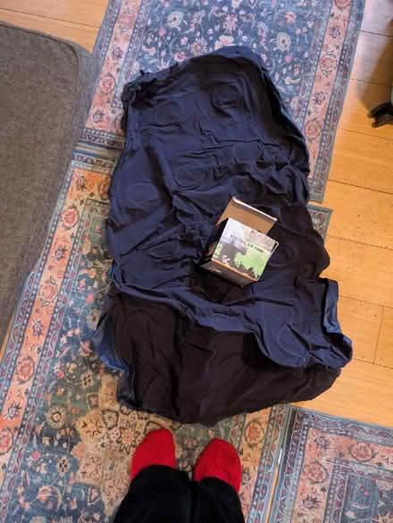 Photo of free Single air mattress and pump (N1 Highbury and Islington) #1