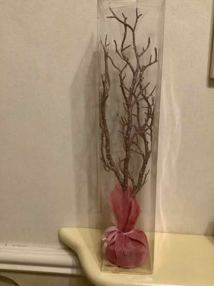 Photo of free Glittery tree (Central Derby DE22) #3