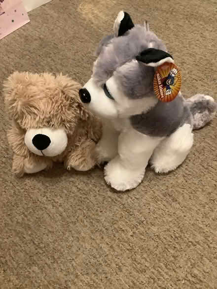 Photo of free Cuddly toys (Central Derby DE22) #2