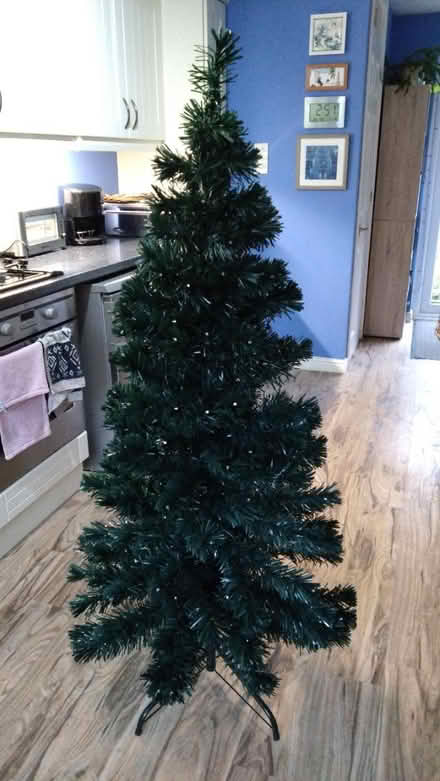 Photo of free Christmas tree 5ft (Leckhampton GL53) #1