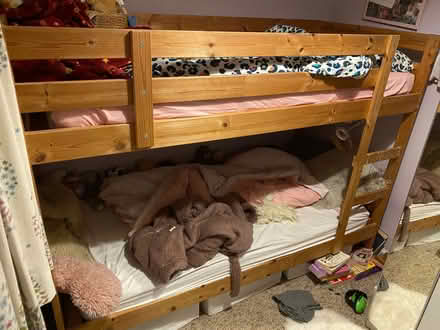 Photo of free Ikea Mydal pine bunk bed (Cob Lane B30) #1
