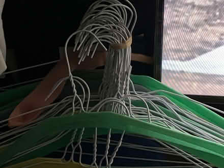 Photo of free Hangers (Selhurst SE25) #2