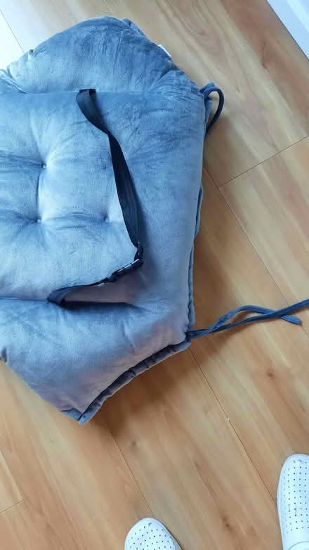 Photo of free Cushion, velour, semi-enclosed (Birch Hill RG12) #2