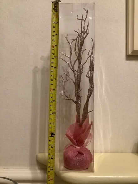 Photo of free Glittery tree (Central Derby DE22) #1