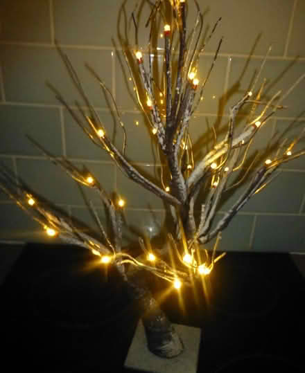 Photo of free 4 LED Decorative Trees (Boreham BA12) #2