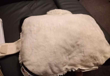 Photo of free 2 in 1 Plush Animal & Cuddly Animal Pillow (Collyhurst M40) #4