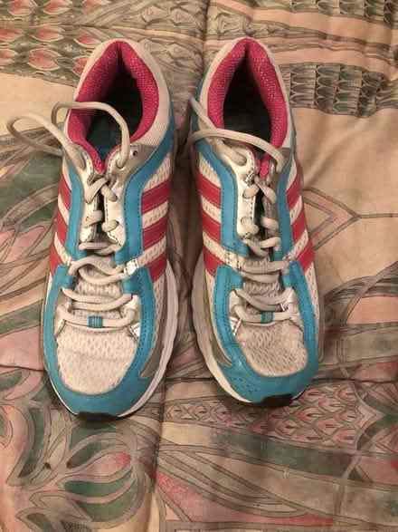 Photo of free size 5 women’s addis trainers used (Elkstone GL53) #1