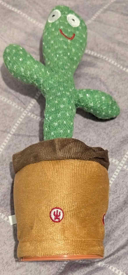 Photo of free Baby clothes (3-6 months), cactus (Salford M7) #3