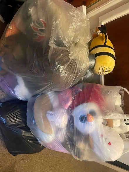 Photo of free Bags of soft toys (BA13) #1
