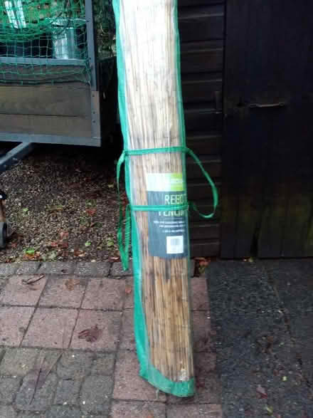 Photo of free Reed fencing (Skelton CA11) #1