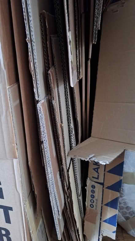 Photo of free Packing boxes (Temple Mills E15) #1