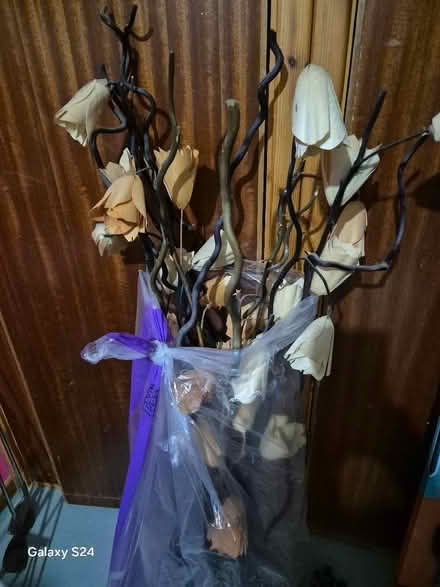 Photo of free Dried flowers (Whitfield DD4) #1