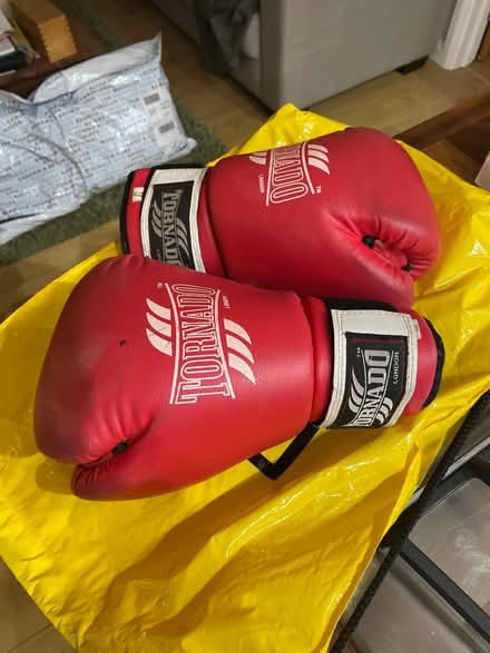 Photo of free Boxing gloves (Leigh on sea SS9) #1
