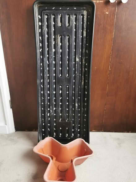 Photo of free Pot and large rectangle plant tray (BR3) #1