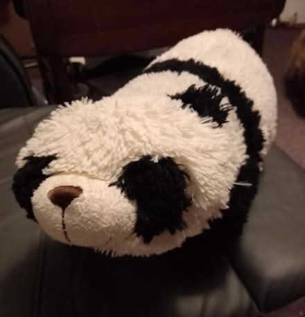 Photo of free 2 in 1 Plush Animal & Cuddly Animal Pillow (Collyhurst M40) #2