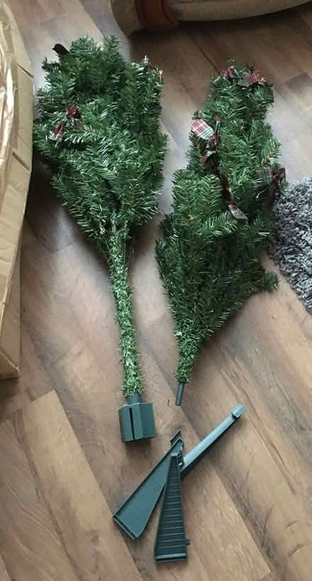 Photo of free Christmas tree (Sheldon B26) #1
