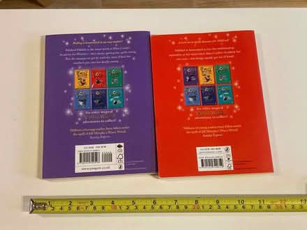 Photo of free 2 x worst witch books (Near Christchurch BA15) #2