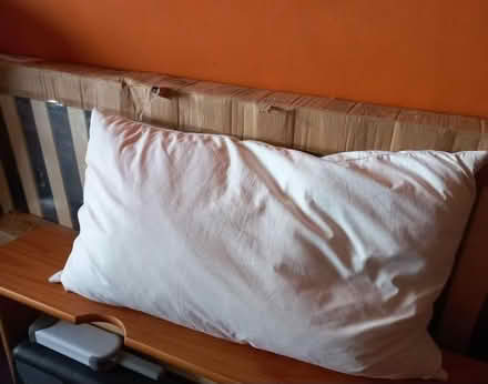 Photo of free Soft & Light Goose Feather Pillow (Collyhurst M40) #1