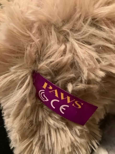 Photo of free Cuddly toys (Central Derby DE22) #4