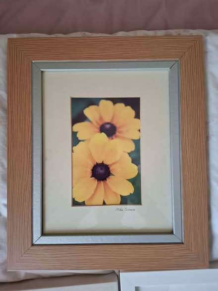 Photo of free Wall art (Strelley NG8) #3