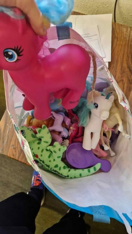 Photo of free Assortment of pony dolls (Ingoldisthorpe, PE31) #1