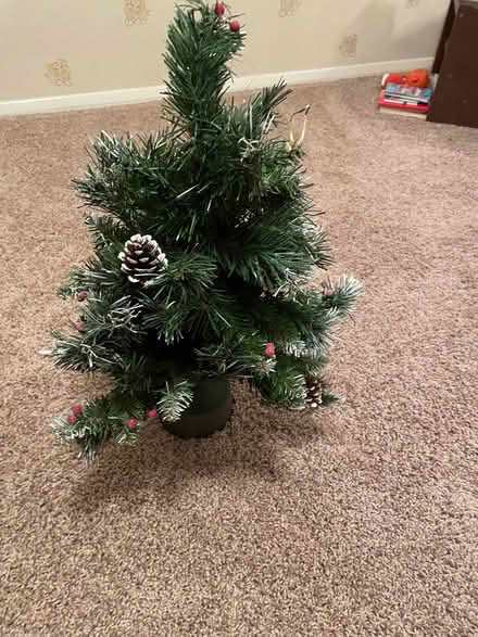 Photo of free Xmas tree (Woodley RG5) #1