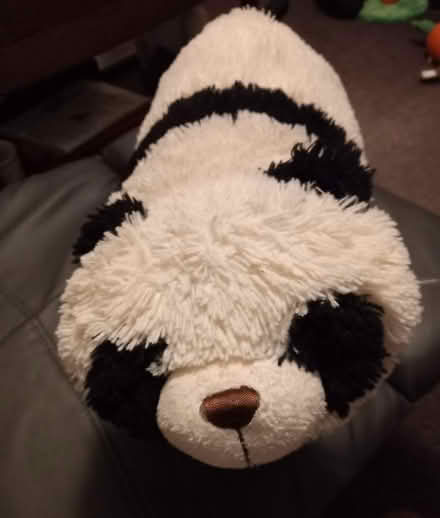 Photo of free 2 in 1 Plush Animal & Cuddly Animal Pillow (Collyhurst M40) #3