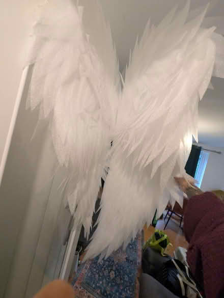 Photo of free Beautiful angel wings, long (N1 Highbury and Islington) #1