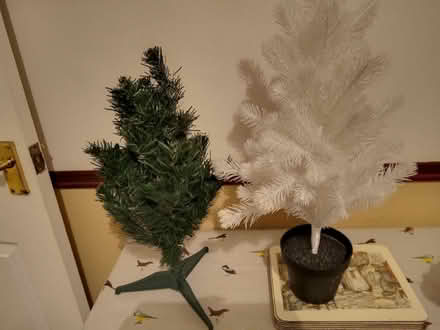 Photo of free 2 small Christmas trees (Kempston MK42) #1