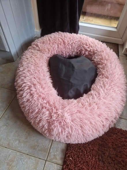 Photo of free Dog bed (GL50) #1