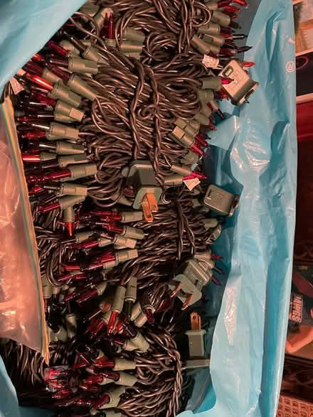 Photo of free Christmas lights/outdoor timer (Roselle) #2