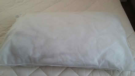 Photo of free Pillow (Falsgrave) #1