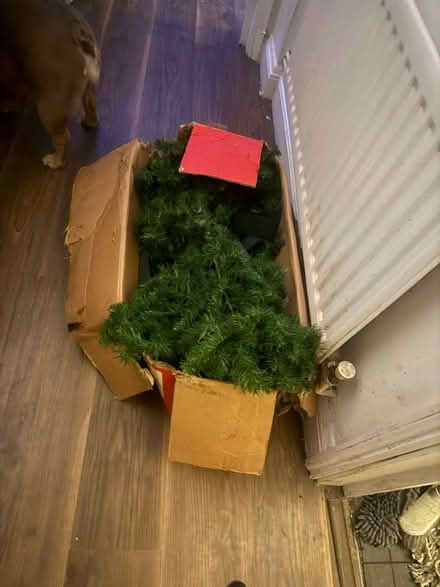 Photo of free Xmas tree and door reef (Edgware HA8) #2