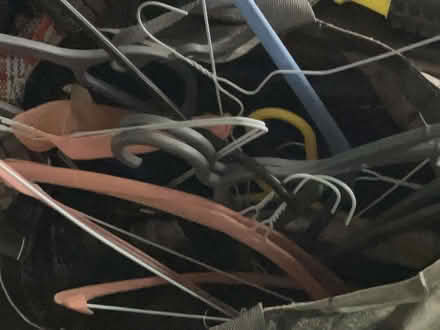 Photo of free Hangers (Selhurst SE25) #1