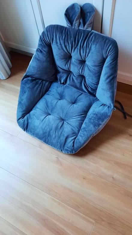 Photo of free Cushion, velour, semi-enclosed (Birch Hill RG12) #1