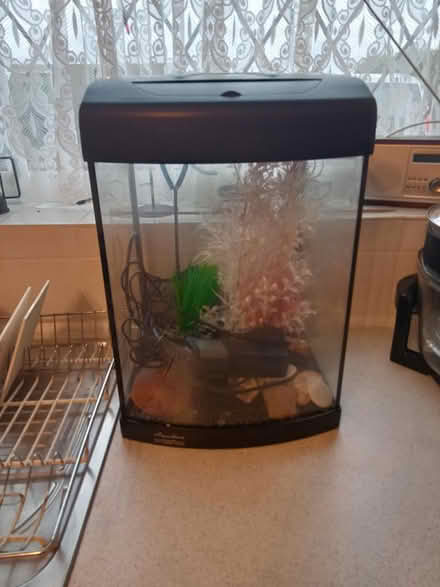 Photo of free Aquarium (Lower Broadheath, WR2) #1