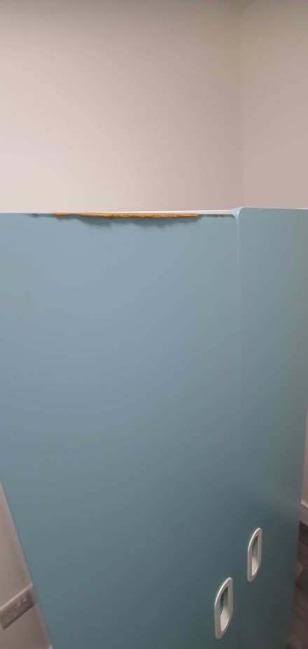 Photo of free Kitchen store cupboard (Simister M45) #4