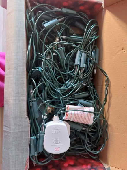 Photo of free Christmas Net Light (Welwyn AL6) #3