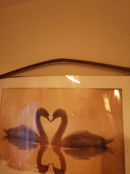 Photo of free Romantic swan art frame need repair (Whalley range M16 7) #2