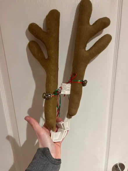 Photo of free Deer antlers holiday decoration (Southwest Oakville) #1