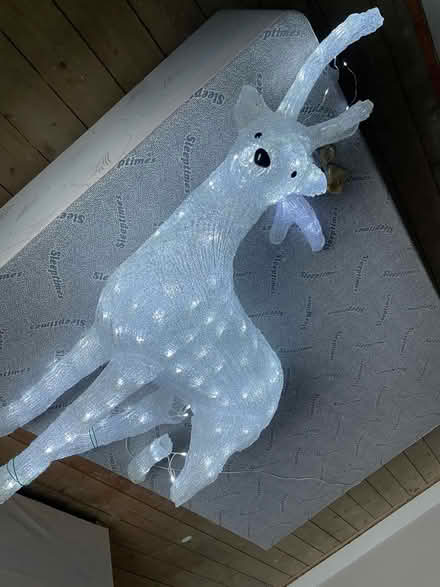 Photo of free Light up plastic garden reindeer (SK7 Bramhall) #1