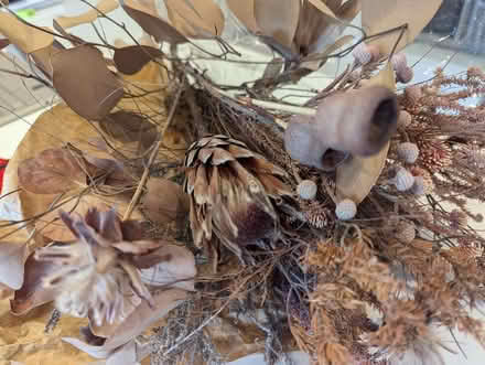 Photo of free Dried Bunch of Flowers (Weston Park) #3